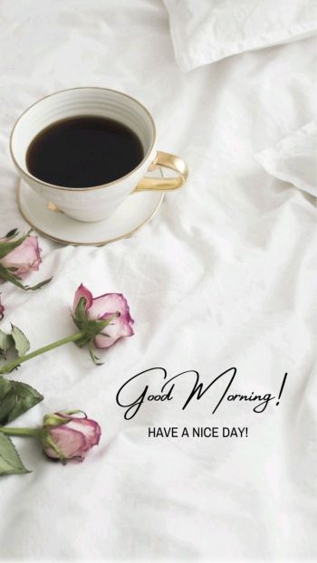 Good Morning Flower Image