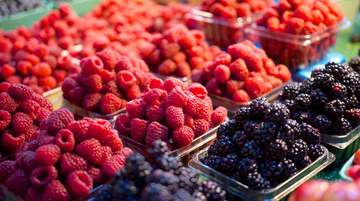 fruit wallpaper