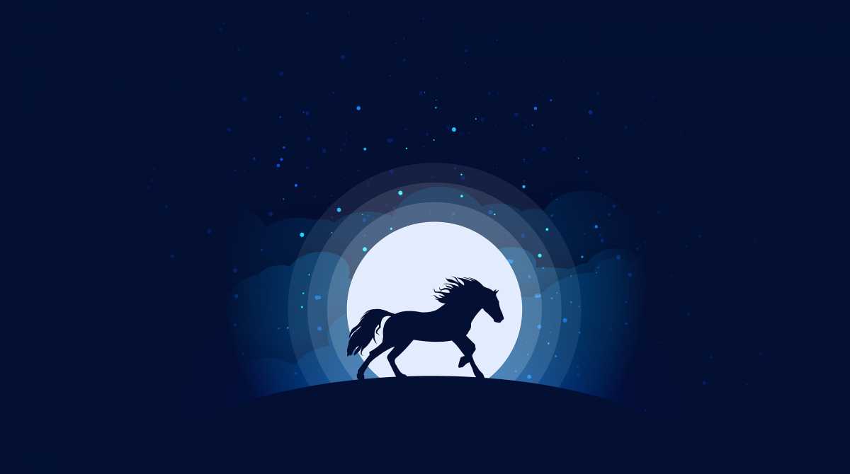 horse