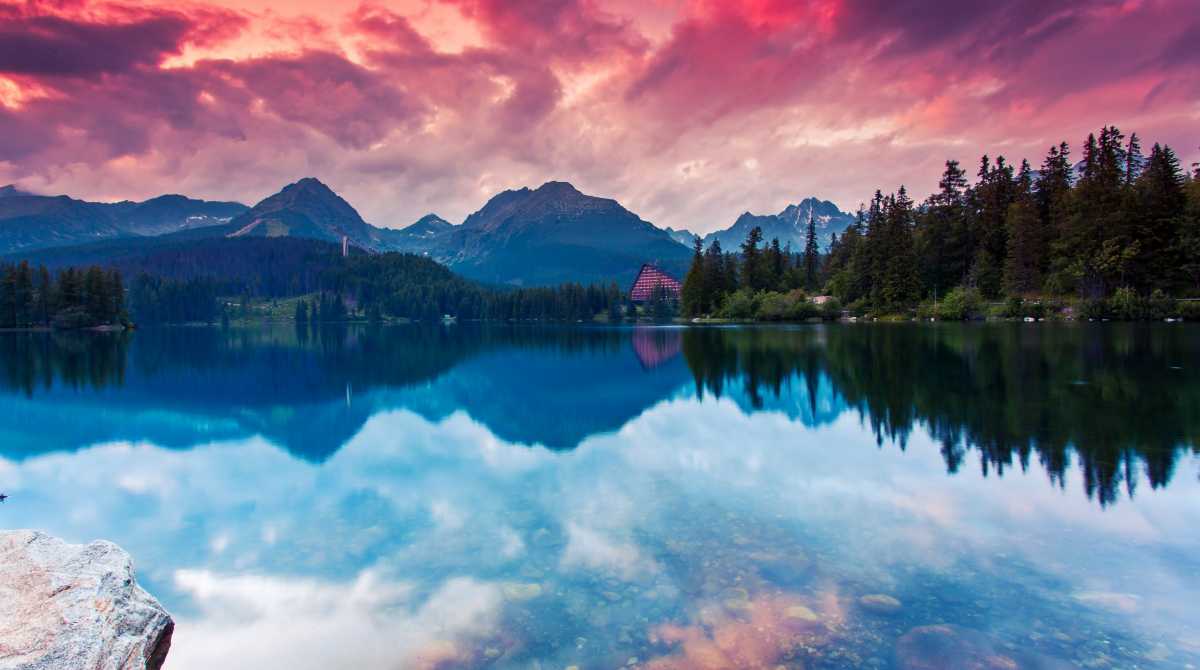 nature wallpaper