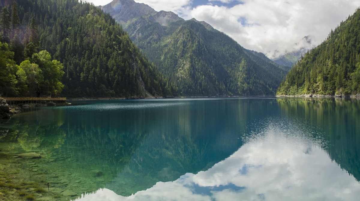 nature wallpaper