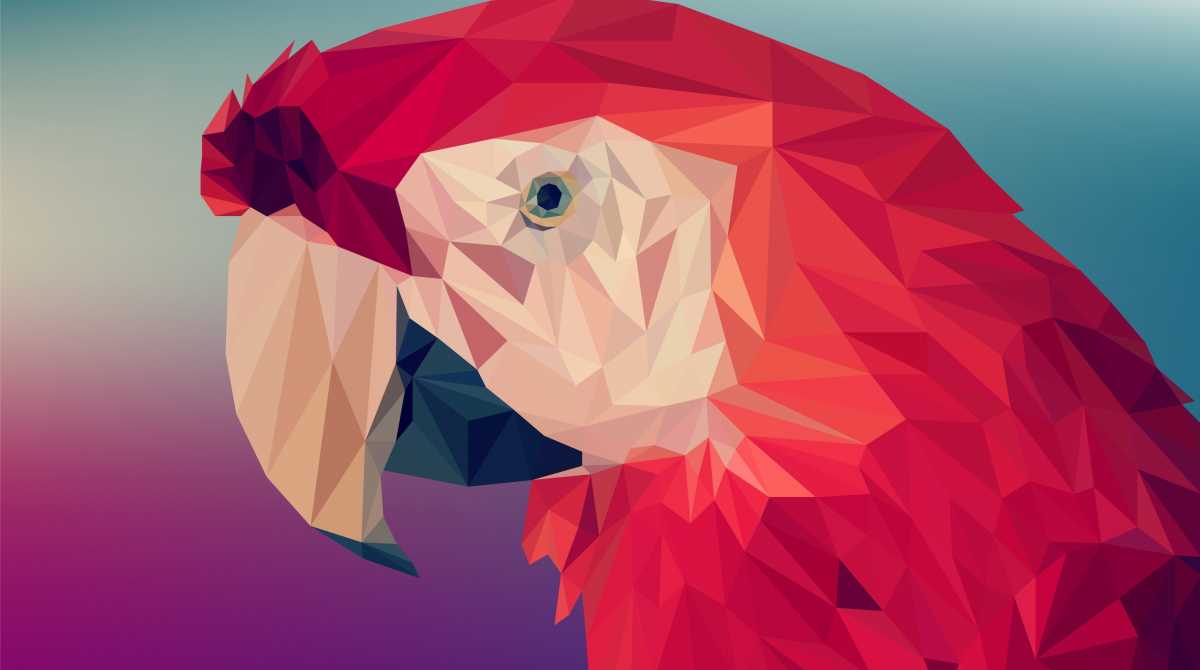 parrot