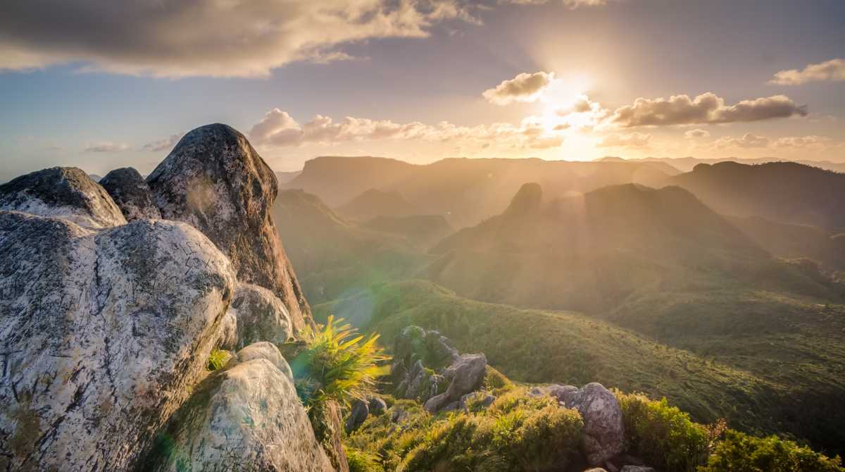 nature wallpaper