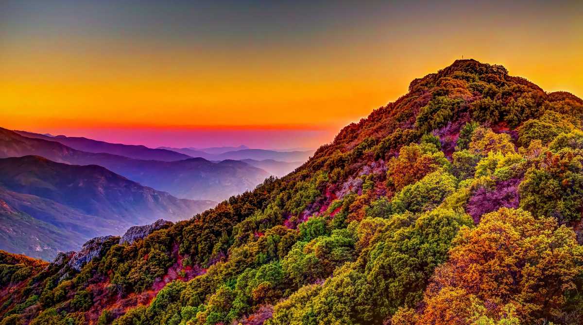 nature wallpaper
