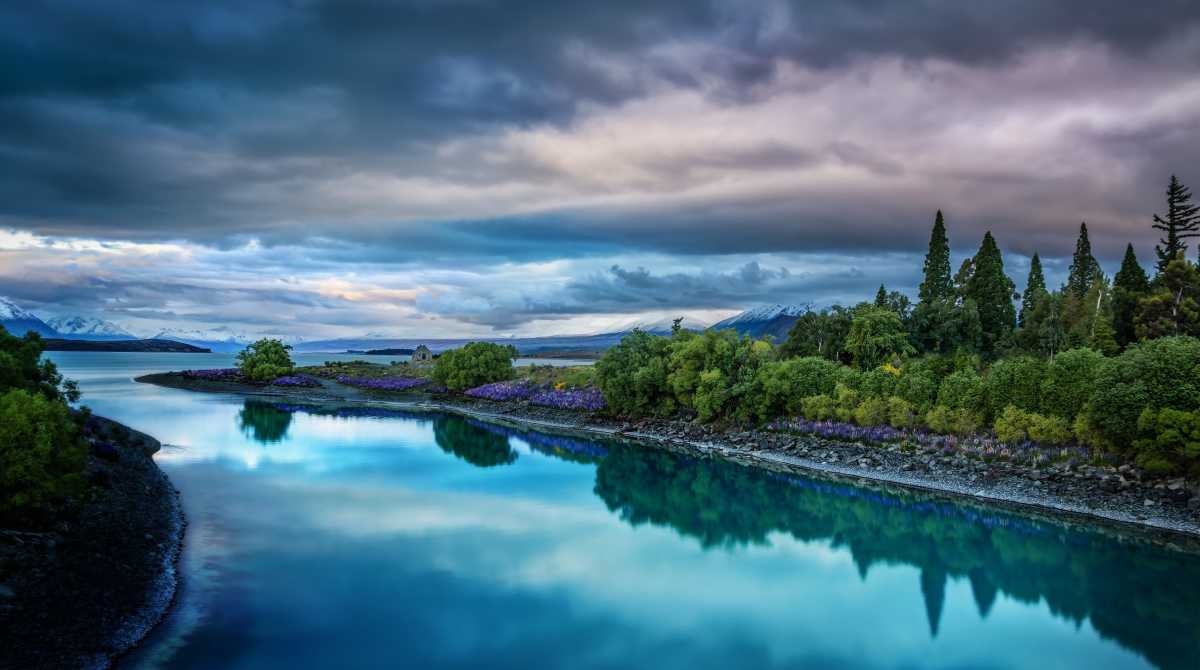 nature wallpaper