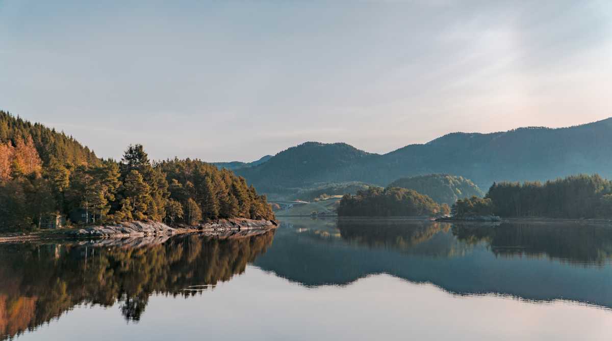 nature wallpaper