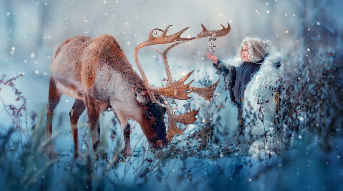 raindeer