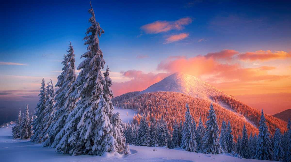 nature wallpaper