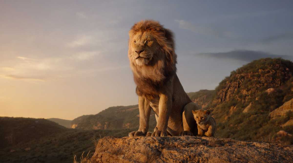 lion