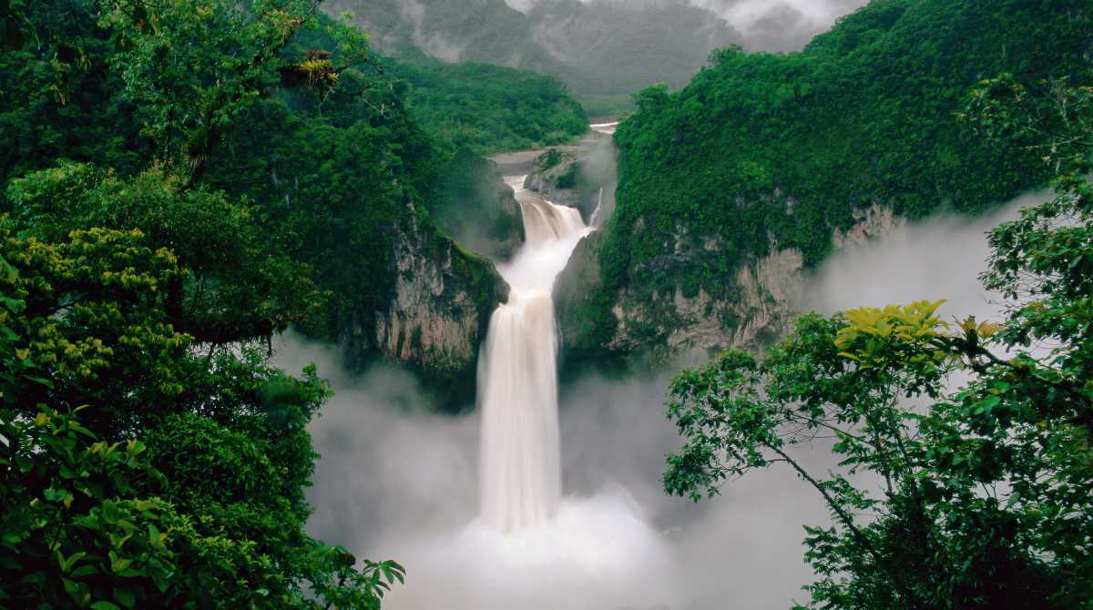 nature wallpaper