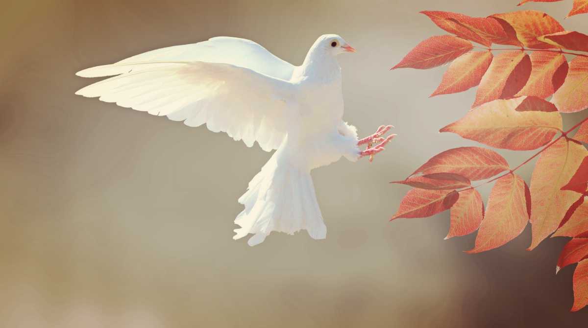 cute wallpaper