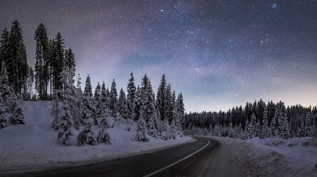 nature wallpaper