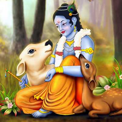 Krishna Dp