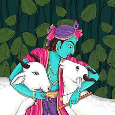 Krishna Dp