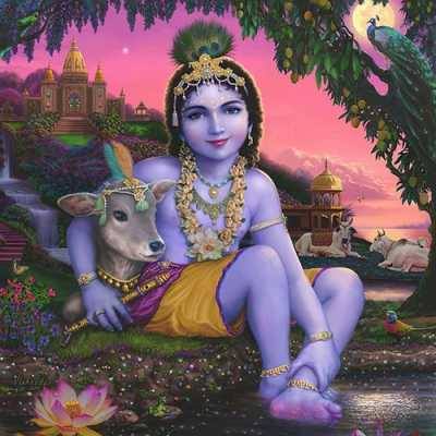Krishna Dp