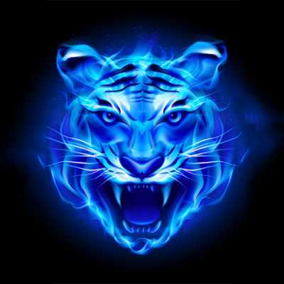 Whatsapp dp image