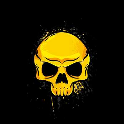 skull  Whatsapp dp image