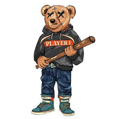 stylish teddy image