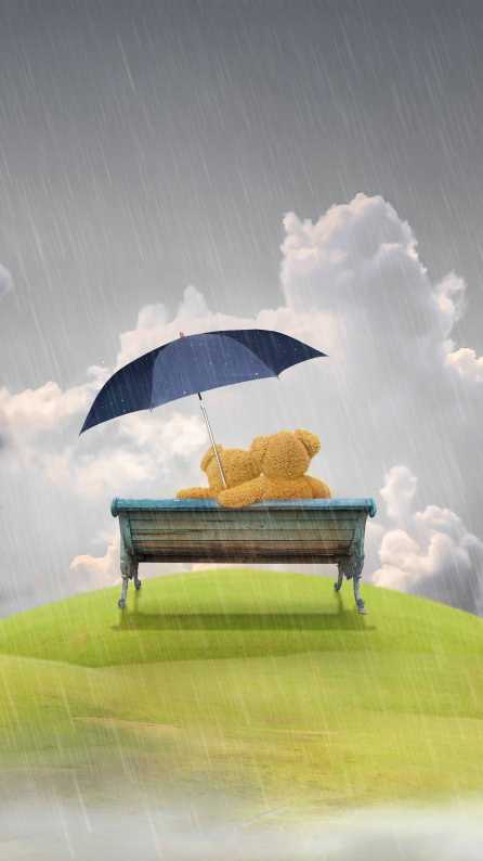 Teddy Bear