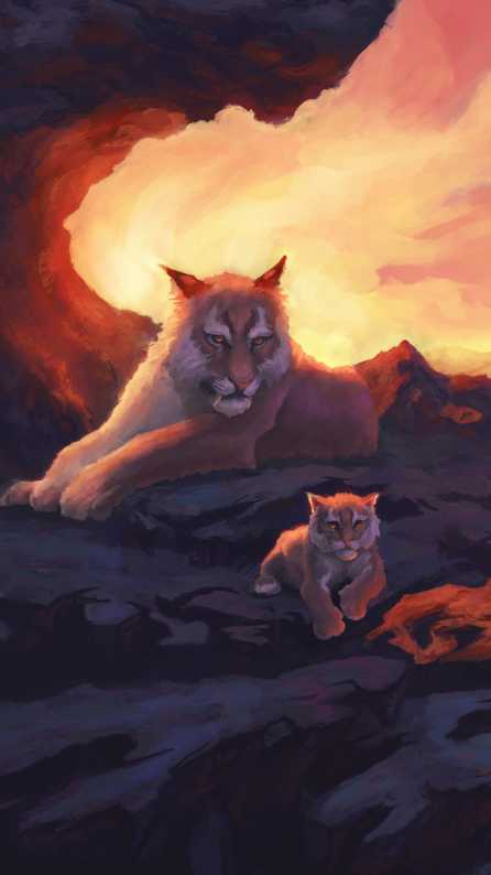 lion family wallpaper
