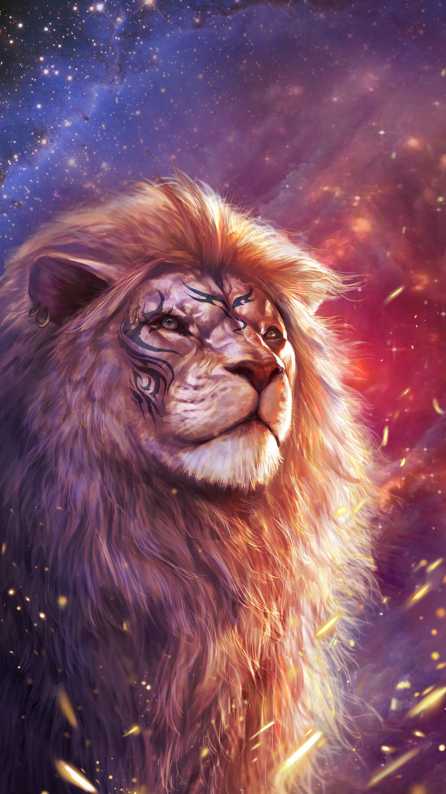 lion mobile wallpaper