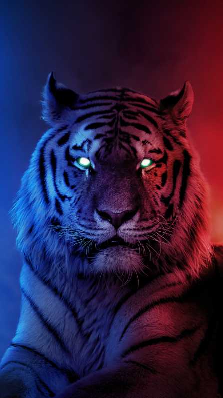 tiger mobile wallpaper