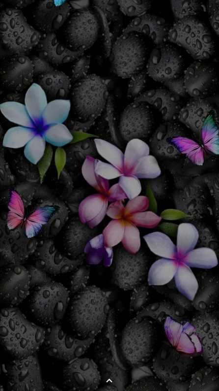 Flowers Android Phone Wallpapers  Wallpaper Cave