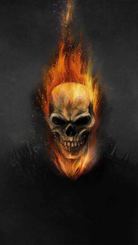Skull Hd Wallpaper
