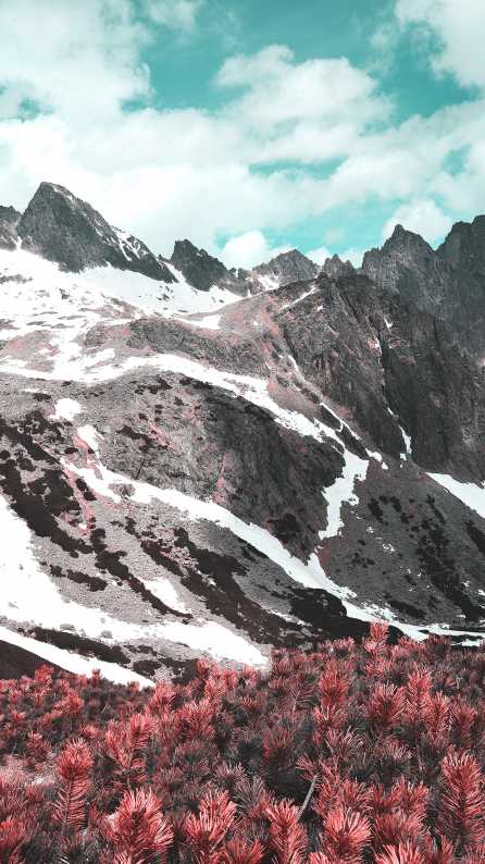 mountain Wallpaper