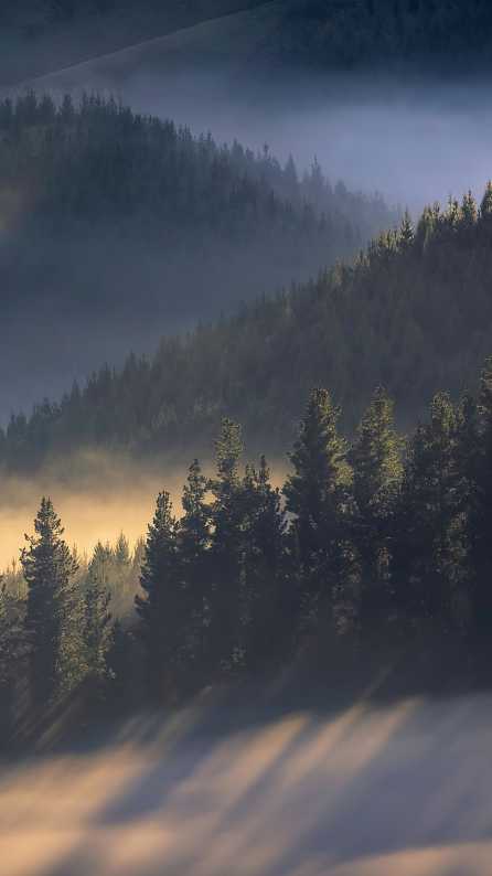 nature mobile wallpaper