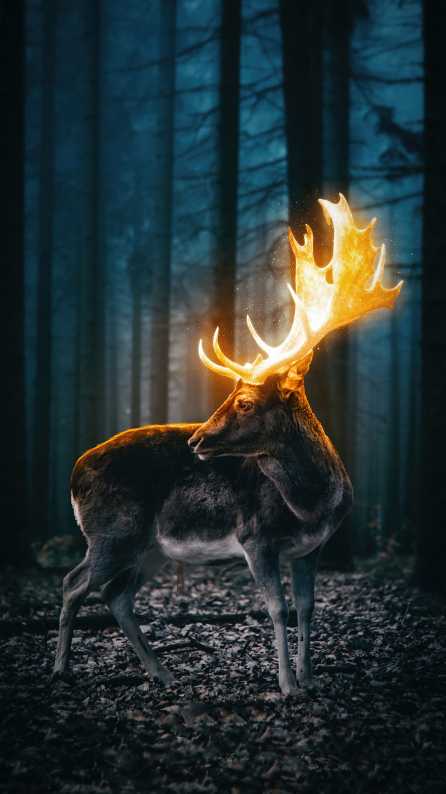 Aesthetic deer wallpaper