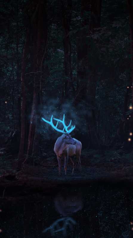 Aesthetic deer wallpaper