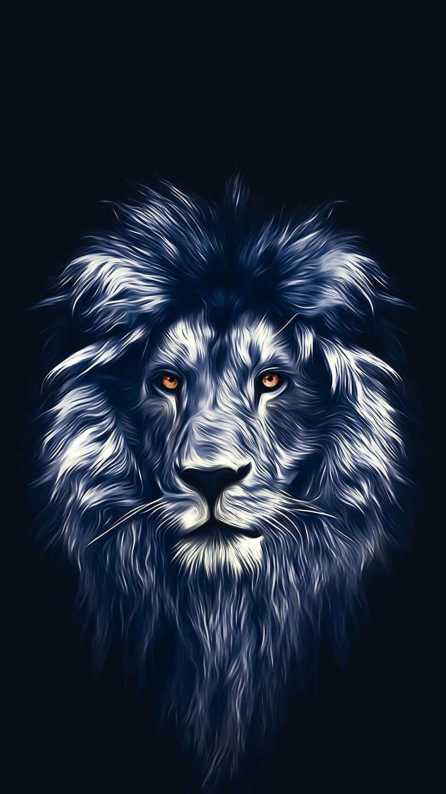 lion hd mobile wallpaper