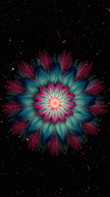 Flower Mobile wallpaper