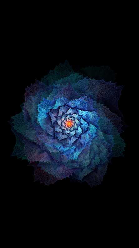 Flower Mobile wallpaper