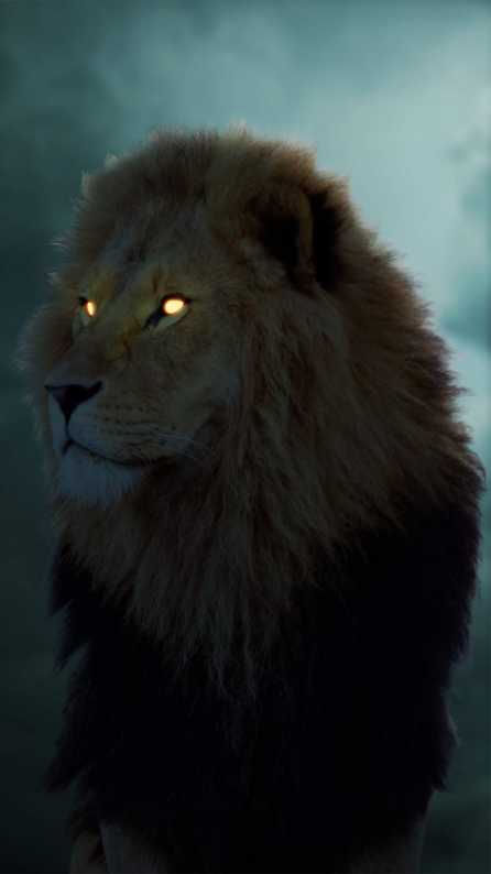 HD 4K King lion hd wallpaper Wallpapers for Mobile