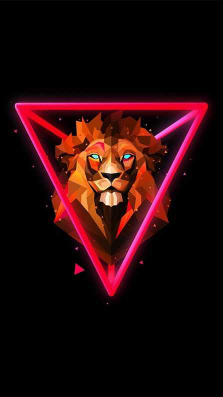 Lion Hd wallpaper
