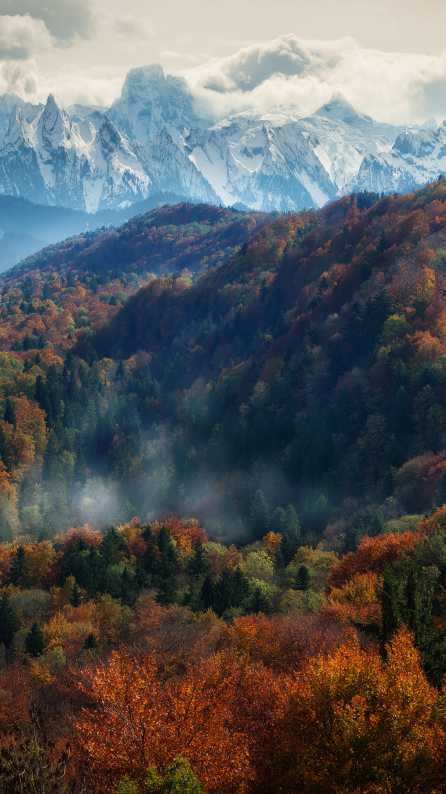 nature mobile wallpaper