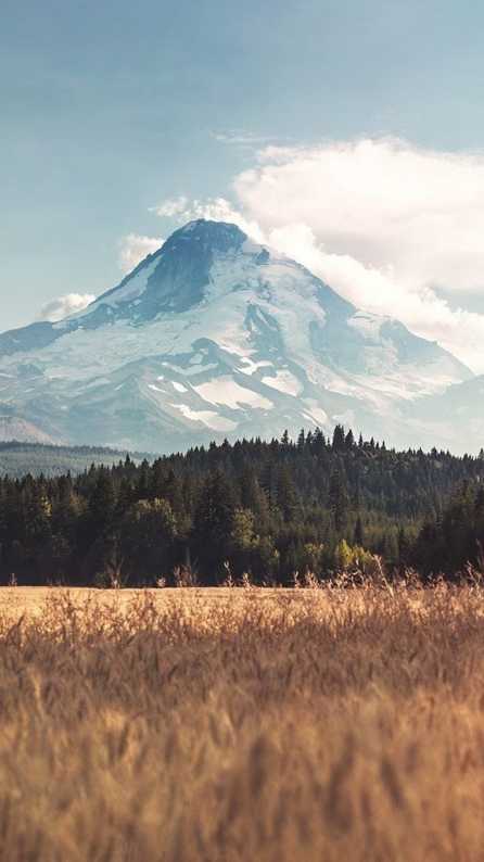 nature mobile wallpaper