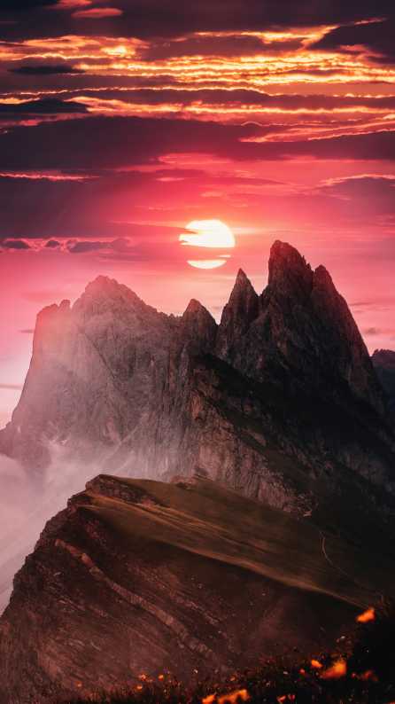 nature mobile wallpaper