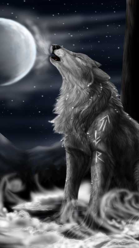 wolf mobile wallpaper